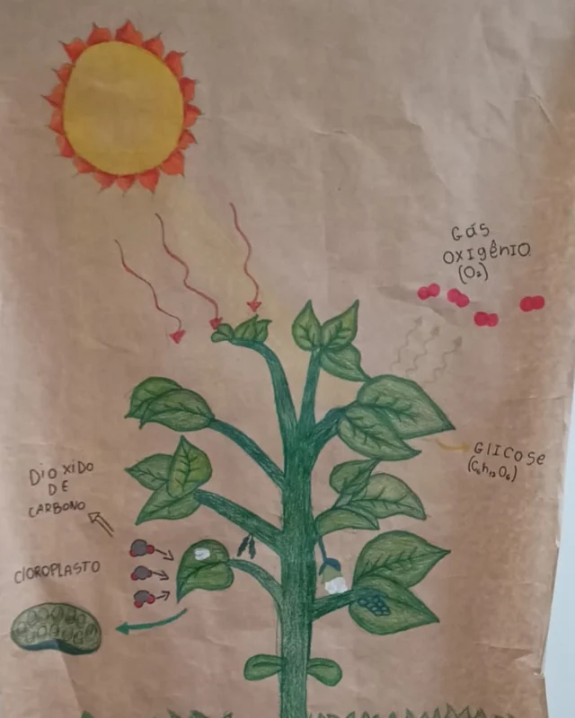 A partir das produção de cartazes a turma 171 nas aulas de ciências com a professora Milene R. Bueno consolidou sua aprendizagem sobre os conceitos de fotossíntese e o aprofundamento dos estudos das organelas que compõem as plantas.