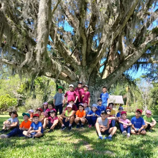 🌿✨ Saída Pedagógica ao Mundo Nativo – 2º Ano ✨🌿Um dia cheio de descobertas, aventuras e muita diversão! 🐴☀️Nossos alunos do 2º ano viveram momentos incríveis no Mundo Nativo: passeio a cavalo, voltinha na carrocinha do trator, tirolesa, trilha com salchipão e muitas brincadeiras na praça! 🎉💚Entre risadas e aprendizados, saboreamos um delicioso almoço e encerramos com um café da tarde especial. ☕🍰Explorar, aprender e brincar — assim construímos memórias que ficam pra sempre! 💫#RedeRomano #RomanoSaoPaulo#SaídaPedagógica #AprenderBrincando #EnsinoFundamental #MundoNativo #ExperiênciasQueEnsinam #EducaçãoComAmor #2ºAno